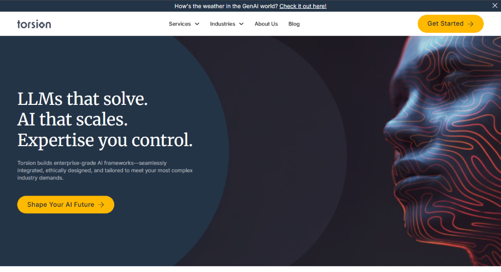 Torsion AI — AI Platform Website